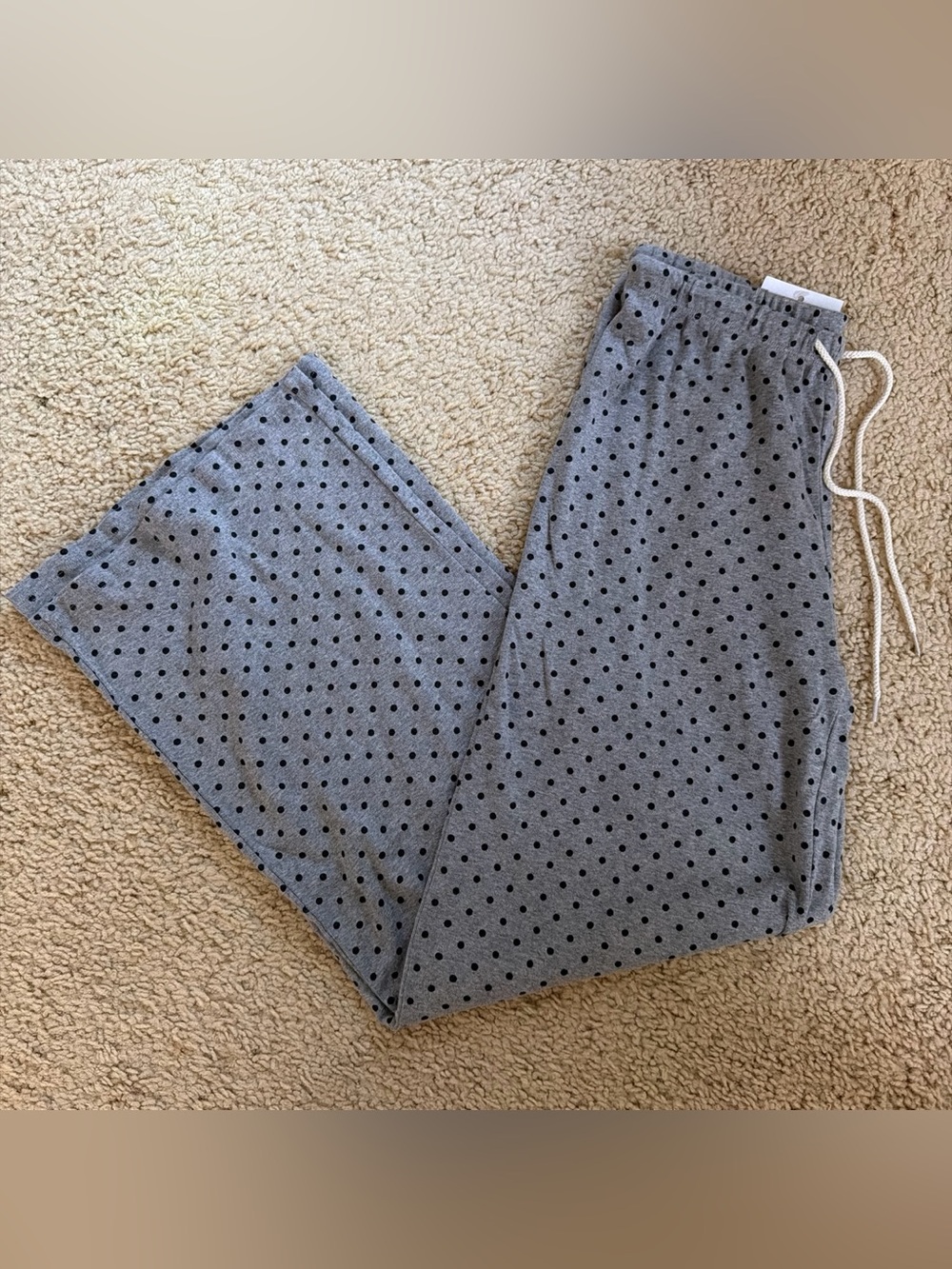 Brandy melville gray Anastasia polka dots pants